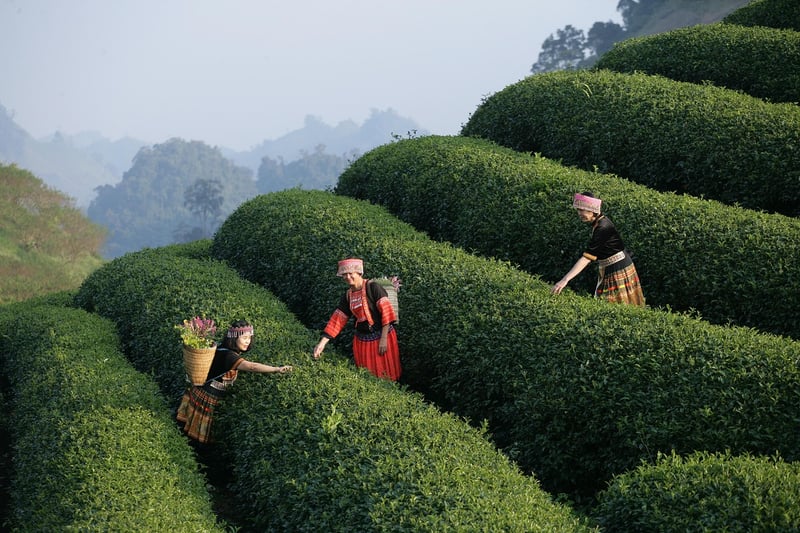 Interactive Design Experiences