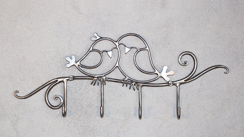 Robotic Housekeepers